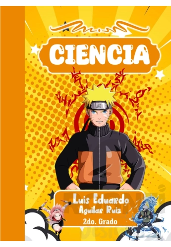 Naruto  02 Portada